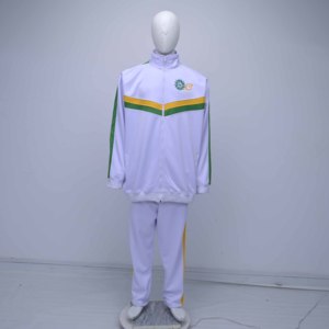 Conjunto Deportivo de Algodón 100% Transpirable, Tallas Grandes, Personalizado al por Mayor, con Capucha de Forro Polar, Ecológico, Cortavientos, para Invierno - Product Image 1