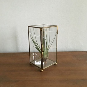 Boîte à bijoux rectangulaire moderne en verre avec cadre en métal doré, vitrine de présentation rectangulaire pour souvenirs, taille et capacité personnalisables pour boucles d'oreilles - Product Image 1