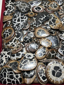 Venta al por mayor de gemas sueltas de septariano negro natural de alta calidad, cabujones de formas variadas, lote único para la creación de joyas. - Product Image 4