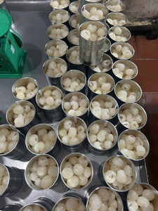 Meilleur prix Vietnam Lychees en conserve en gros Prix direct usine Lychees en conserve au sirop - Product Image 2