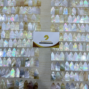 เปลือกหอยมุกธรรมชาติสีขาวใหม่ทรงสี่เหลี่ยมแบนจากเวียดนาม สำหรับใช้ทำกระเบื้องโมเสคและตกแต่งผนัง โดย 99 โกลด์ ดาต้า - Product Image 4