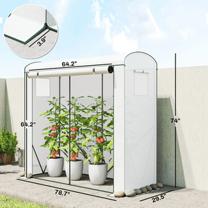 Mini Invernadero para Jardín - Product Image 5