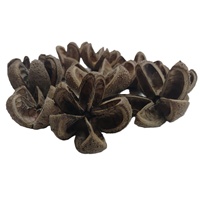 Coque de fleur botanique Kartoos, matériau végétal naturel séché, écologique, pour pot-pourri et décoration pour toutes les occasions