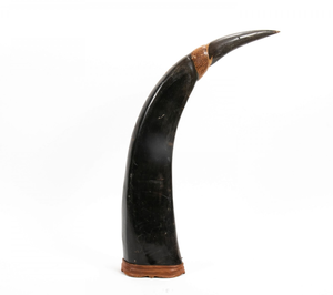 Buffalo Horn Decorative Modern <b>Decoration</b> Double Natural Shape Long Buffalo Horn <b>Decoration</b> Pair - Product Image 4