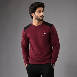 Men Sweatshirt High Quality Sports Pullover Breathable Lightweight Material Comfortable <b>Fit</b> Modern Design For Training Gym - Product Image 1