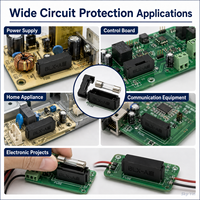 Support de fusible PCB BLX-A 5x20mm avec couvercle articulé 6.3A 250V, montage traversant pour fusible en verre ou en céramique