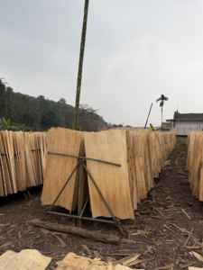 Láminas de Chapa de Madera de Eucalipto, Corte Rotatorio, Ecológicas y Duraderas, 1270 mm de Longitud, para Material de Núcleo de Contrachapado - Product Image 3