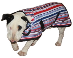 Veste d'hiver respirante en polyester pour chiens de petite/moyenne/grande taille, manteau pour Labrador - Product Image 4