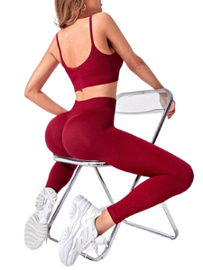 Conjunto Deportivo de Una Pieza para Mujer, Ropa de Yoga de Alta Elasticidad, Ropa de Gimnasio, Talla Grande, Bra y Pantalones de Yoga Sexys para Mujer - Product Image 4