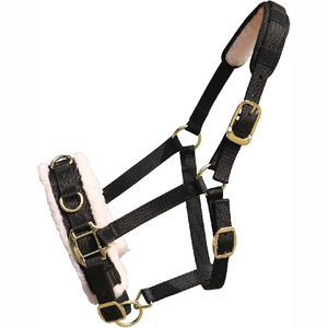 Harnais de cheval en nylon noir avec rembourrage blanc et boucles dorées pour l'équitation et l'entraînement - Product Image 1