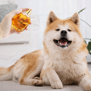 Perfume para Mascotas Personalizado de Fábrica Premium, Productos Certificados para el Cuidado de Perros y Gatos, Marca Privada OEM/ODM - Product Image 5