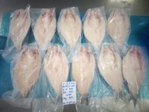 Filete de Pangasius Congelado de Vietnam, IQF, Grado Premium, con 0-20% de Cubierta de Hielo, Disponible con Piel o Sin Piel - Product Image 1