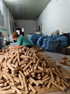 Precio Directo de Fábrica, Juguete Masticable de Fibra de Coco para Mascotas, 100% Fibra Natural para el Mercado de Juguetes para Perros en EE. UU., Precio al por Mayor Económico - Product Image 2