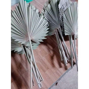 Lances de palmier séchées et teintes aux couleurs vives |   Décoration murale tropicale |   Décoration florale de mariage bohème |   Fleurs séchées naturelles en gros - Product Image 4