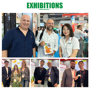 Nuovi Funghi Champignon Intatti in Salamoia e Funghi a Fette in Scatola, Vendita all'Ingrosso - Product Image 6