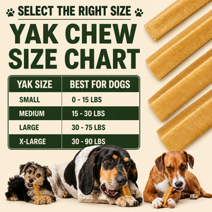 Friandises naturelles pour chiens au yak de l'Himalaya de qualité supérieure, riches en protéines, sans gluten, pour toutes les races, friandises dentaires longue durée, OEM ODM en gros - Product Image 4