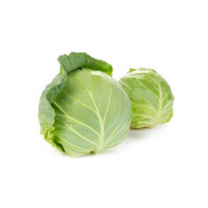 <b>Fresh</b> Cabbage Premium Quality Natural Farm <b>Fresh</b> Green Cabbage Food Grade <b>Vegetable</b> Ocean Link Exim Mesh Bags Bulk Supply - Product Image 4
