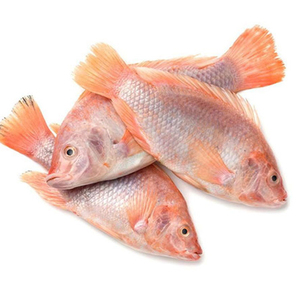 Export live frozen red tilapia <b>fish</b> for sale Fresh Frozen Red Tilapia <b>Fish</b> Red Snapper Tilapia <b>Fish</b> for Tilapia <b>Fish</b> Red Buyers - Product Image 5