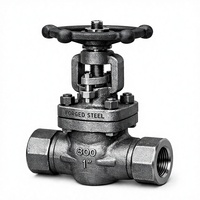 Vanne à soupape en acier forgé à froid, classe 800, extrémité filetée, haute pression, manuelle, haute température, vanne industrielle OEM