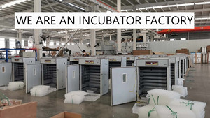 Incubateur à œufs <span class=keywords><strong>de</strong></span> poulet entièrement automatique 200-4224, machine à couver les œufs <span class=keywords><strong>de</strong></span> caille, <span class=keywords><strong>prix</strong></span> des incubateurs - Product Image 6