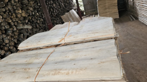 100% Natural Vietnam Rubberwood Rotary Veneer Eco-Friendly & Durable for Plywood Boards - Product Image 6