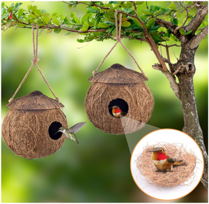 Artex HaiNam Coconut Shell Bird House Round Natural Eco-Friendly Outdoor Hanging <b>Nest</b> for Birds All Seasons - Product Image 6