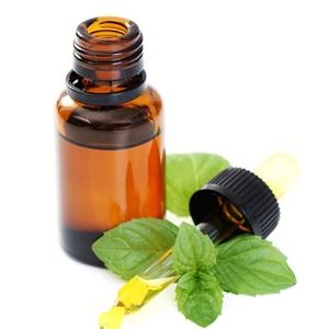 Best Selling High Quality 100% <b>Pure</b> & Organic <b>Peppermint</b> <b>Oil</b> | Pepper Mint Essential <b>Oil</b> at Wholesale Price From India - Product Image 6