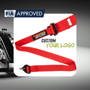 Custom Logo FIA Racing Harness 6 Point Seat Belt SPORT Model with 2 Inch 3 Inch Polyester Webbing for Track Day - Product Image 3