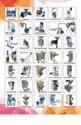 Food Processing <b>Machine</b> - Product Image 3