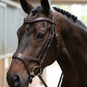 Brida de caballo ergonómica de cuero estilo Micklem con corona anatómica acolchada ancha y suave, costuras en contraste, fabricante OEM de artículos de equitación - Product Image 6