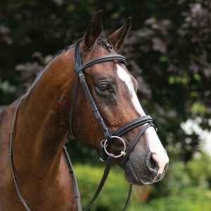 Bridon en cuir professionnel de haute qualité pour l'équitation en plein air, réglable, personnalisation acceptée - Product Image 1