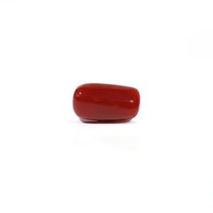 Natural Red Coral Loose Gemstone 3.86 Carat Certified Wholesale Raw - Product Image 1