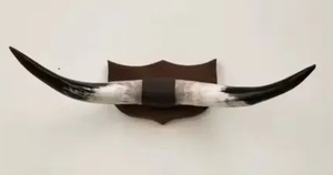 งานศิลปะตกแต่งผนังบ้านคุณภาพสูง ทำมือจากเขาควาย สไตล์โมเดิร์น - Product Image 6
