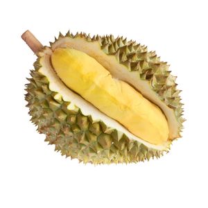 Durian Fresco de la Mejor Calidad |   Vietnam exporta frutas tropicales frescas - Product Image 4