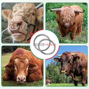 Heavy Duty Cow <b>Nose</b> <b>Ring</b> Earrings Livestock Handling Durable 4 Inch Bull <b>Nose</b> <b>Ring</b> Farm Animal Control Veterinary Strong - Product Image 5