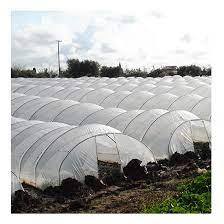 Serres en film PE de haute qualité Double couche de grande taille-Améliorer la protection et la croissance des cultures - Product Image 5