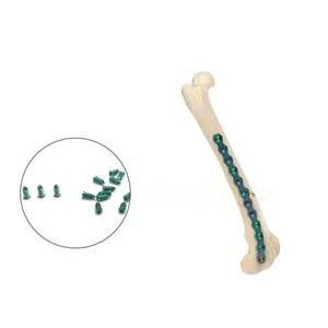 Tornillos de seguridad de titanio de 1.6 mm para implantes quirúrgicos ortopédicos veterinarios, para la fijación de huesos animales y reparación de traumatismos. - Product Image 1