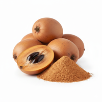Premium groothandel gespraydroogde Chikoo Sapota poeder, biologisch vacuüm verpakt, bulk, voedingsrijk, voedselkwaliteit, zonder toegevoegde suiker, Halal/Kosher