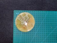 Sous-verres en marbre onyx vert avec support, ensemble de sous-verres en pierre naturelle