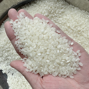 Arroz Japonés de Grano Corto de Alta Calidad para Sushi, con un 3% o menos de grano roto |   Empaquetado en 5 kg, 10 kg, 25 kg |   Marca Privada Nueva Cosecha 2026 (Joice) - Product Image 1