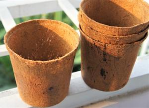 Olla de fibra de coco disponible, maceta sostenible y libre de químicos para jardinería doméstica y comercial, LOTO AZUL de Vietnam - Product Image 3