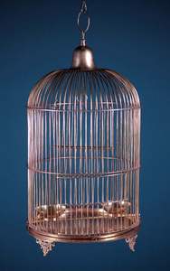 Jaula para Periquitos, Tamaño para Periquitos, Diseño Alden, Jaulas Vintage para Pájaros - Product Image 5
