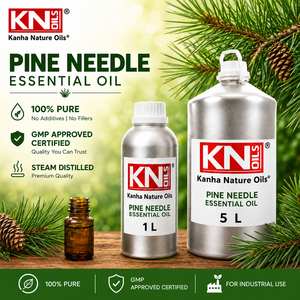 Aceite Esencial de Pino de Alta Calidad, Orgánico Certificado, Fabricante a Granel, Pinus sylvestris, Exportador Global, Proveedor Directo de Fábrica - Product Image 2