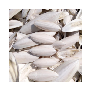 Os de seiche en gros pour oiseaux, aliments pour animaux de compagnie et soins animaliers - Product Image 3