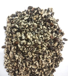 Semillas de Algodón a Granel, Semillas de Algodón Naturales para Alimentación de Ganado, Proveedor de Semillas de Algodón de la India - Product Image 4