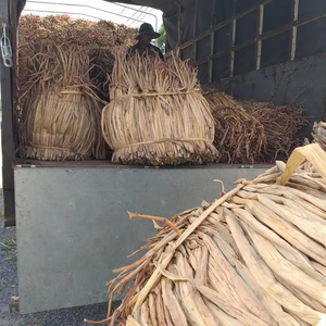 Fabricant vietnamien de fibres naturelles séchées d'hydrocotyle pour l'artisanat et le tissage, fournisseur en gros, exportateur - Product Image 2