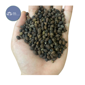 สินค้าขายดี |   ผลไม้แห้งรสเปรี้ยวเคี้ยวหนึบ ชิ้นผลไม้แห้งสำหรับทานเล่นทุกวัน ใช้ทำขนมหวาน ขายส่งจำนวนมากจากเวียดนาม - Product Image 1
