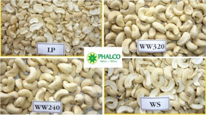 Vietnam Organic Roasted Cashew <b>Nuts</b> & <b>Kernels</b> ISO Certified Vacuum Packed Good Quality Wholesale for Export Phalco Brand Grade a - Product Image 4