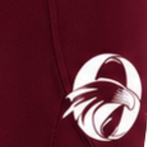 <b>Maroon</b> Women Equestrian Breeches High Waist Stretch Riding <b>Leggings</b> Full Seat Silicone Grip Horse Riding Pants Professional - Product Image 6