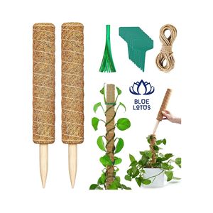 Poteau en fibre de coco écologique Blue Lotus, très demandé |   Poteau de support pour plantes, simple, moderne, naturel, artisanal, accessoires de jardinage - Product Image 1